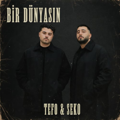 Bir Dünyasın cover