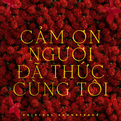 Cảm Ơn Người Đã Thức Cùng Tôi - Original Soundtrack cover