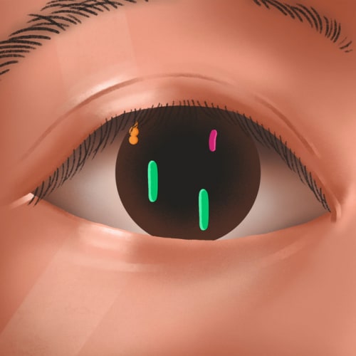 hello em có khỏe không cover