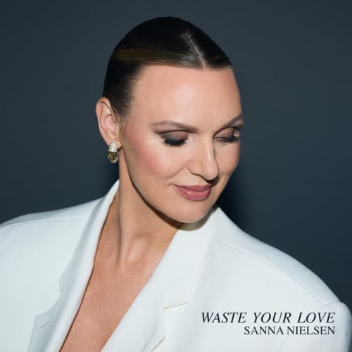 Waste Your Love cover
