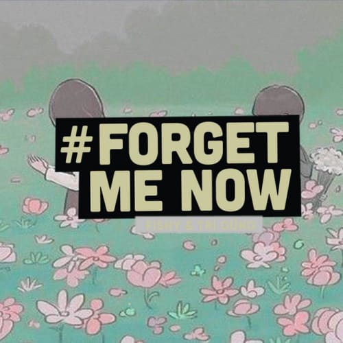 Forget Me Now (Lofi Ver.) cover