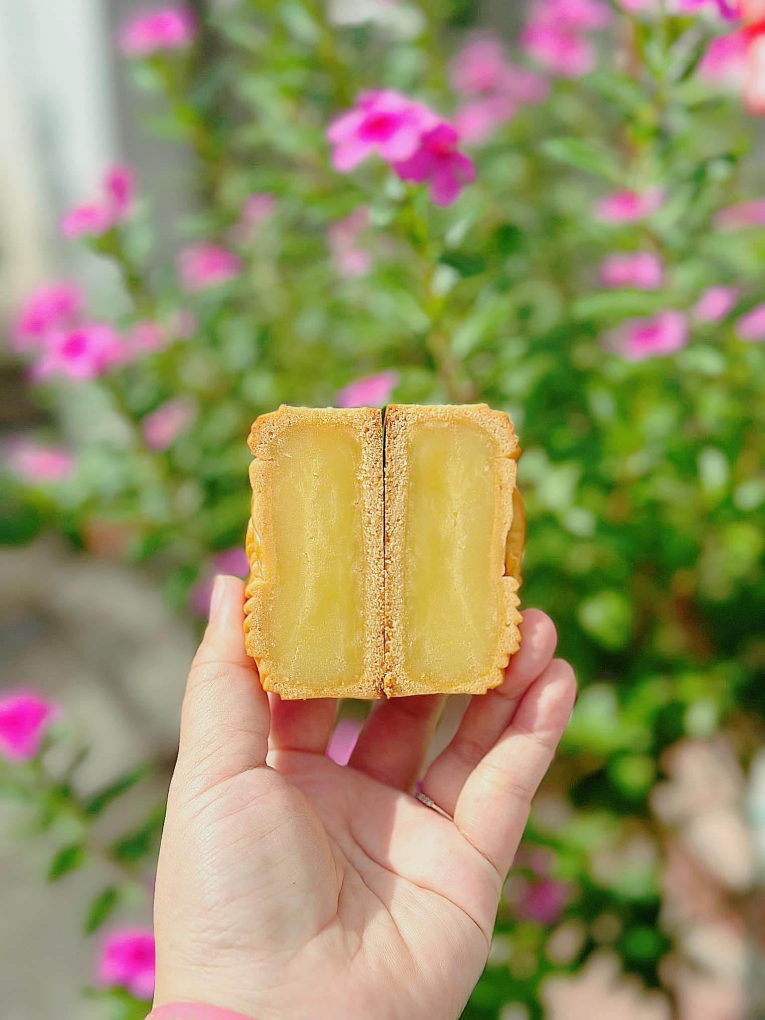 Nướng môn dứa