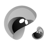Quicksilver icon