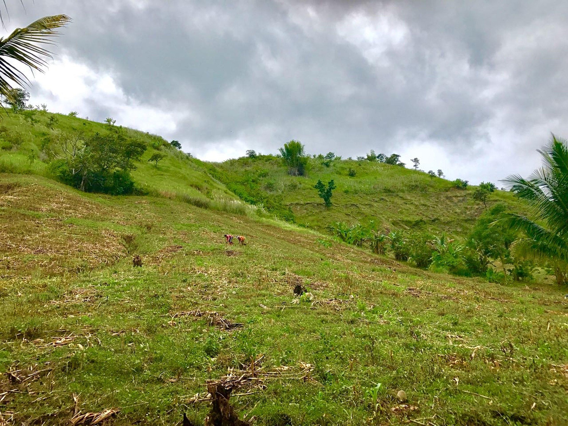 site plan of vacant land