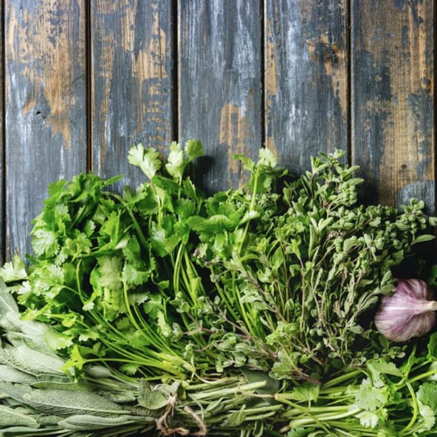 Walks to Discover Wild Herbs (and More)