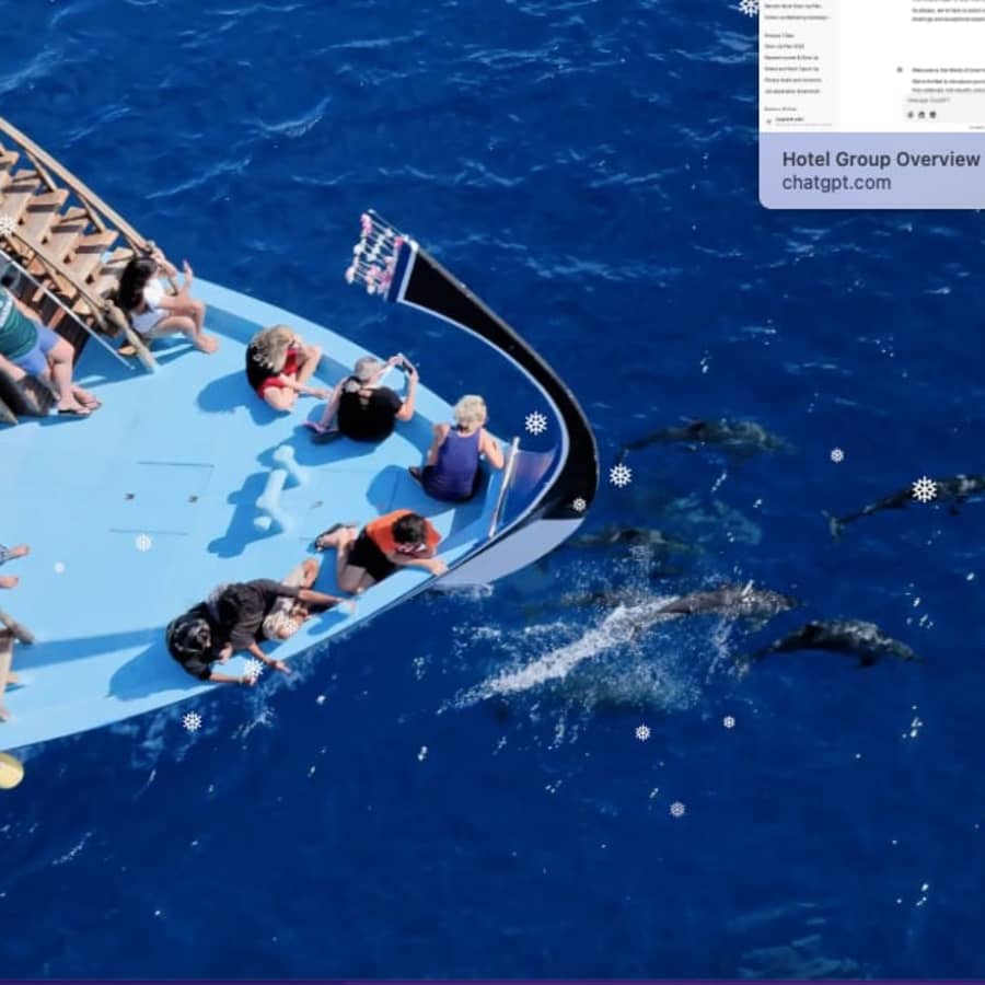 Embark on a Dolphin Cruise