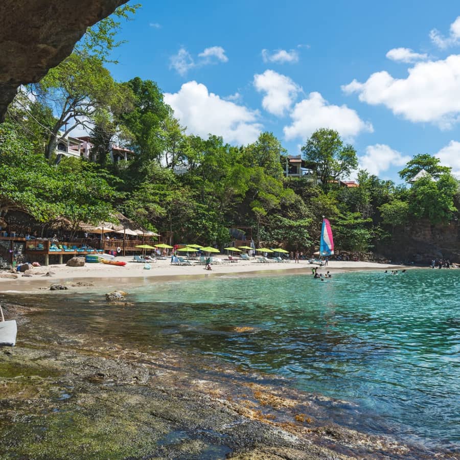 Snorkelling & Catamaran Cruises