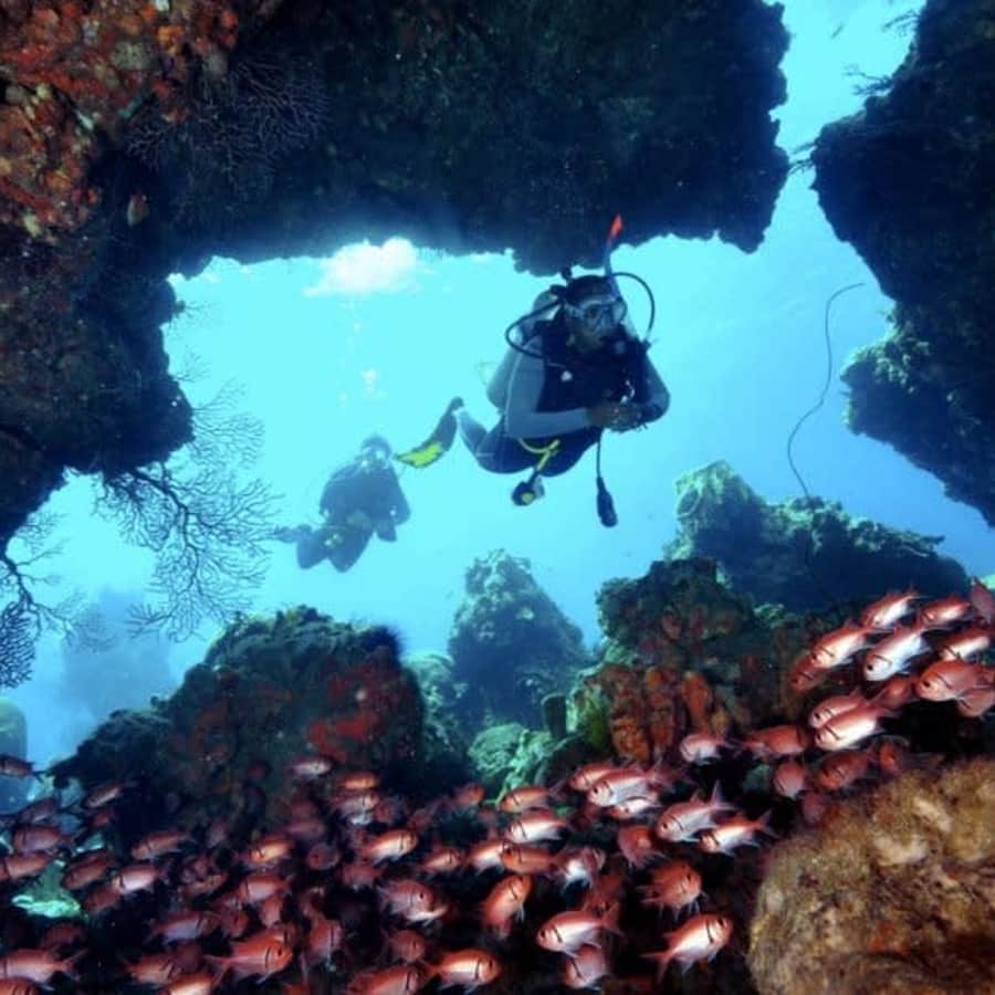 Amazing Underwater World