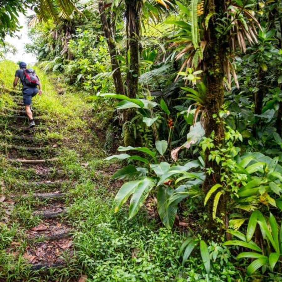 Never-ending hiking trails