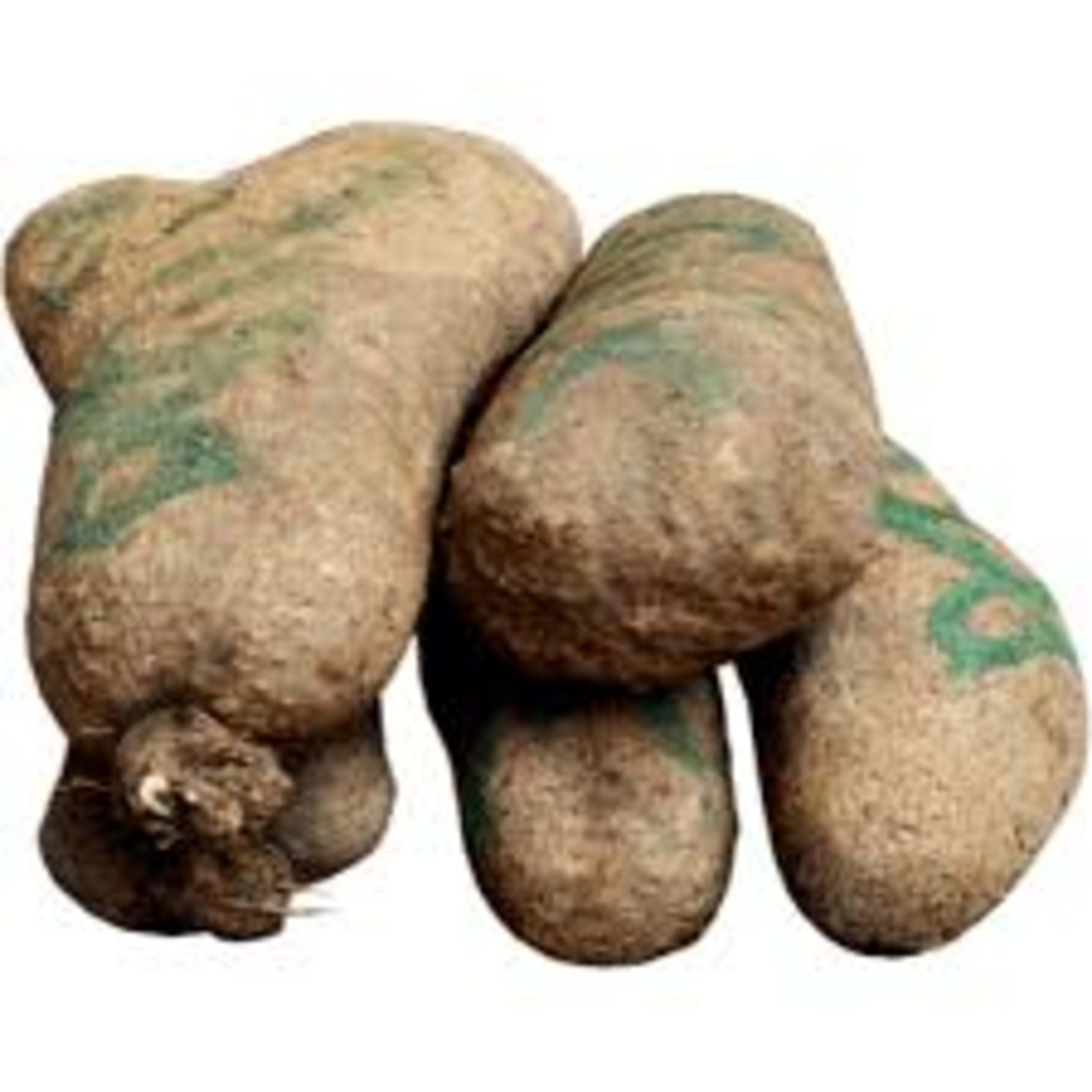 yam