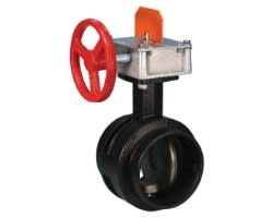 765 Butterfly valve