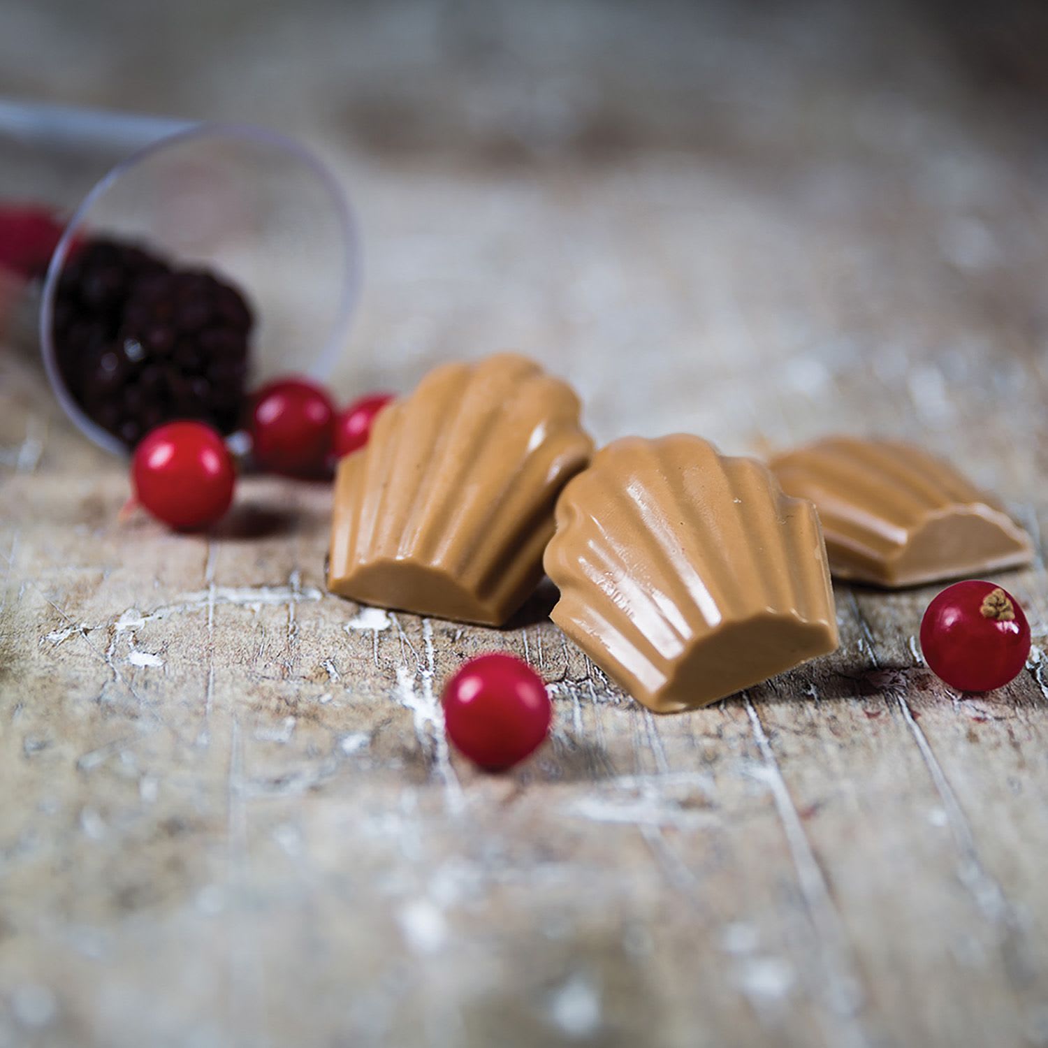 Moule en silicone MADELEINE - SilikoMart