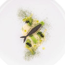 LISCA 4 Dècor Naturae mer Silikomart