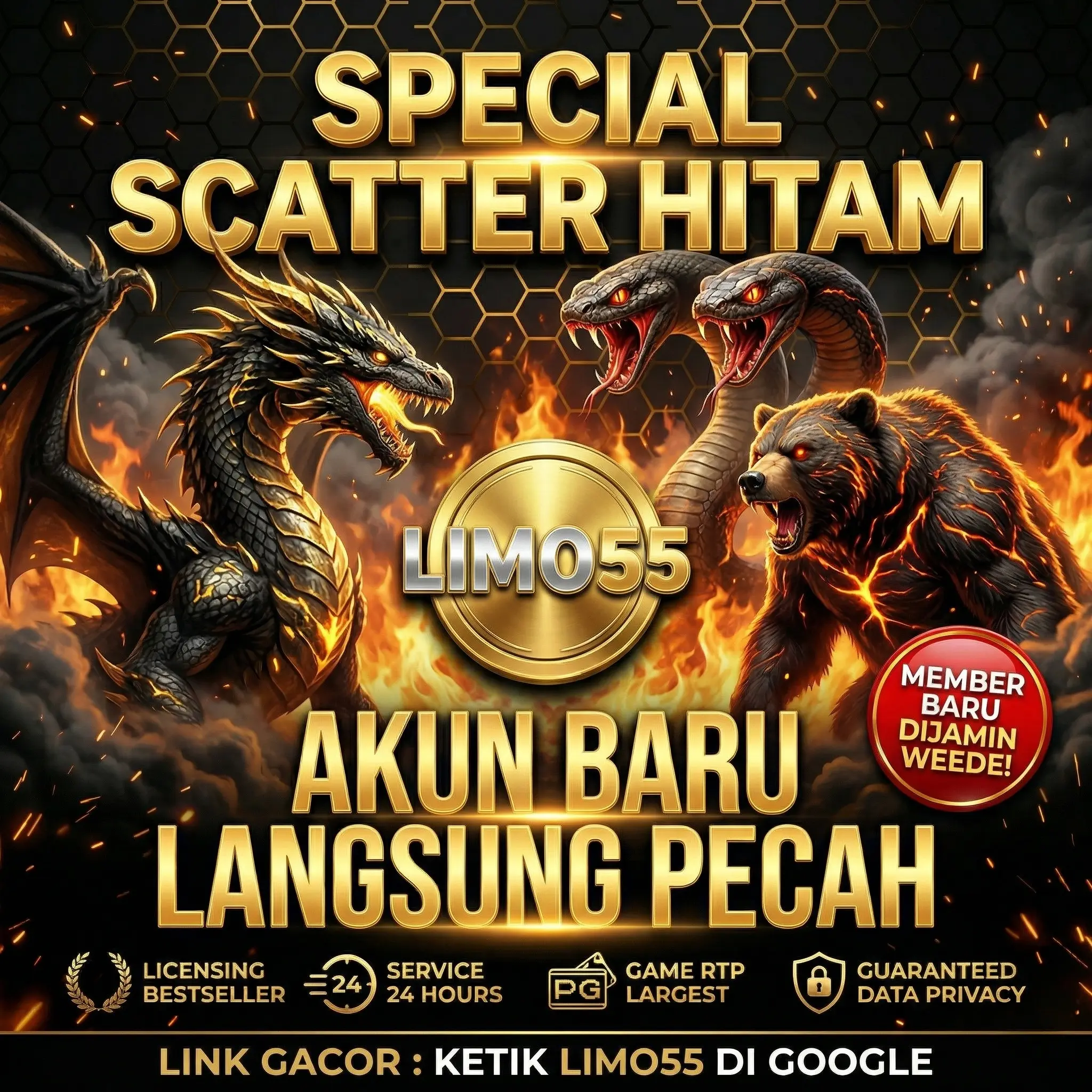 Promo LIMO55
