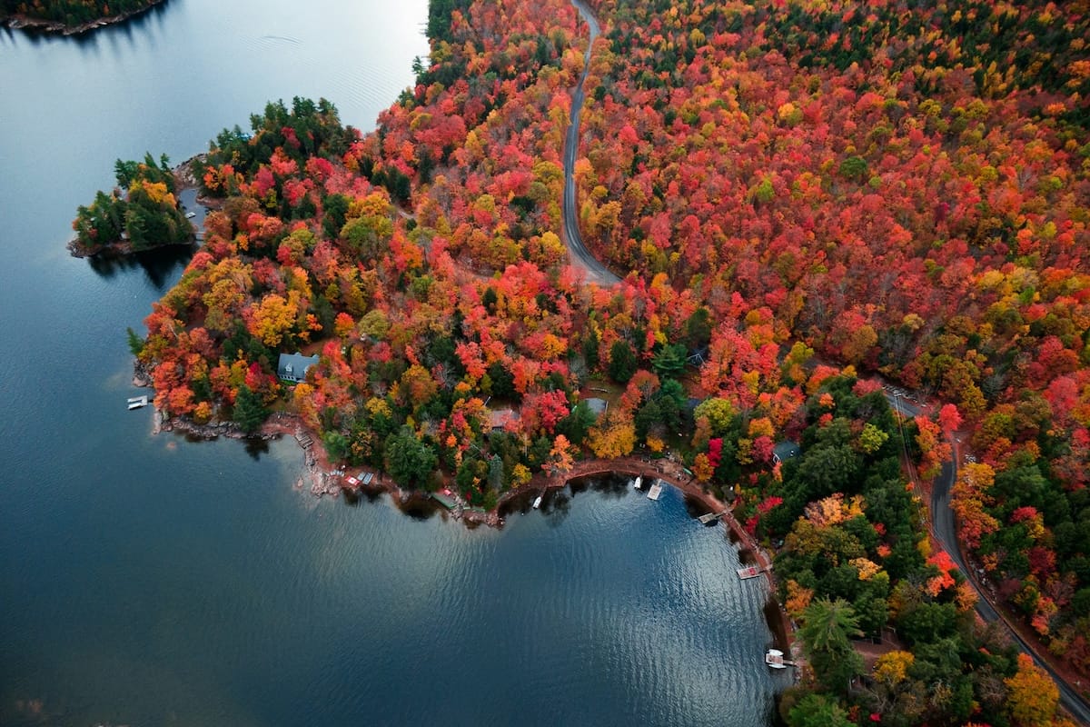 Picture of Stay at this off-grid cabin and vegan animal sanctuary in Ontario ...