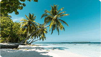 DER Touristik success story