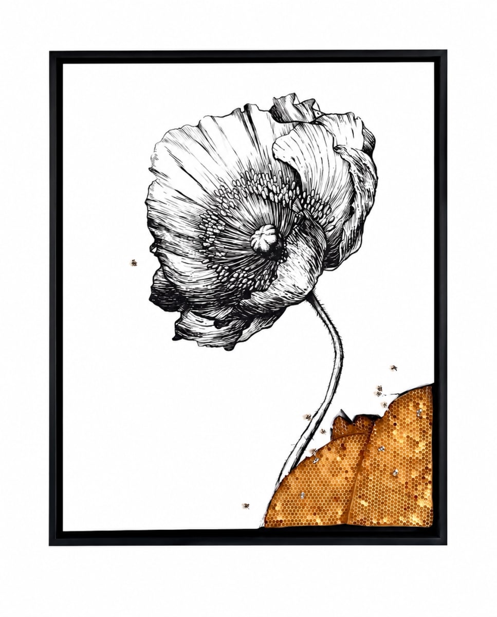 Chris Campbell homepage image