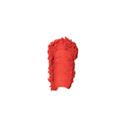 Blush Compacto Playback Popstar - Friday - Ruby Rose