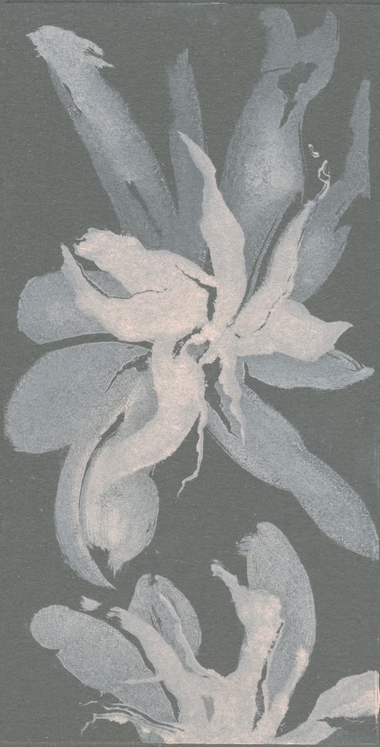 monotype de Noémi Adda