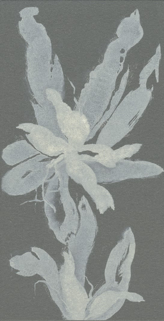 monotype de Noémi Adda