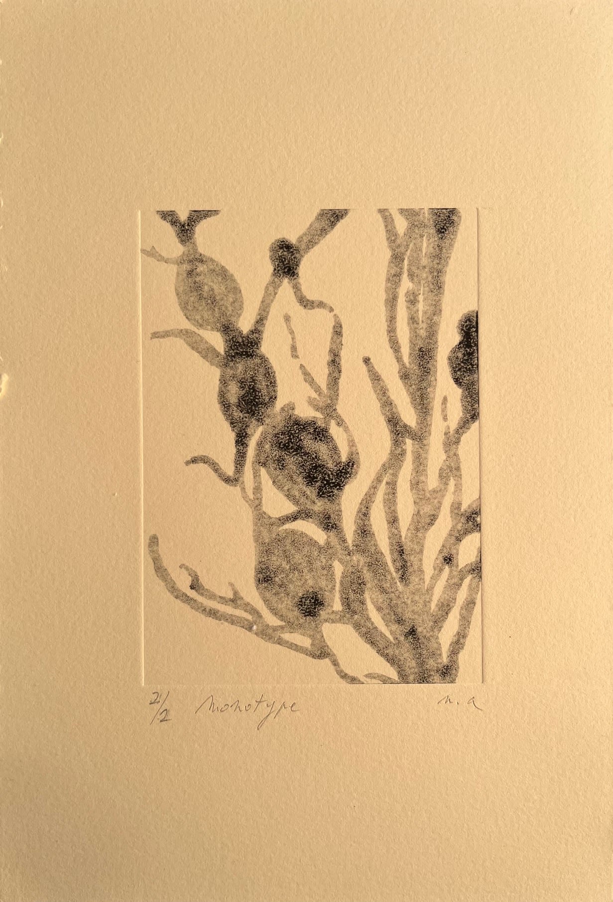 monotype de Noémi Adda