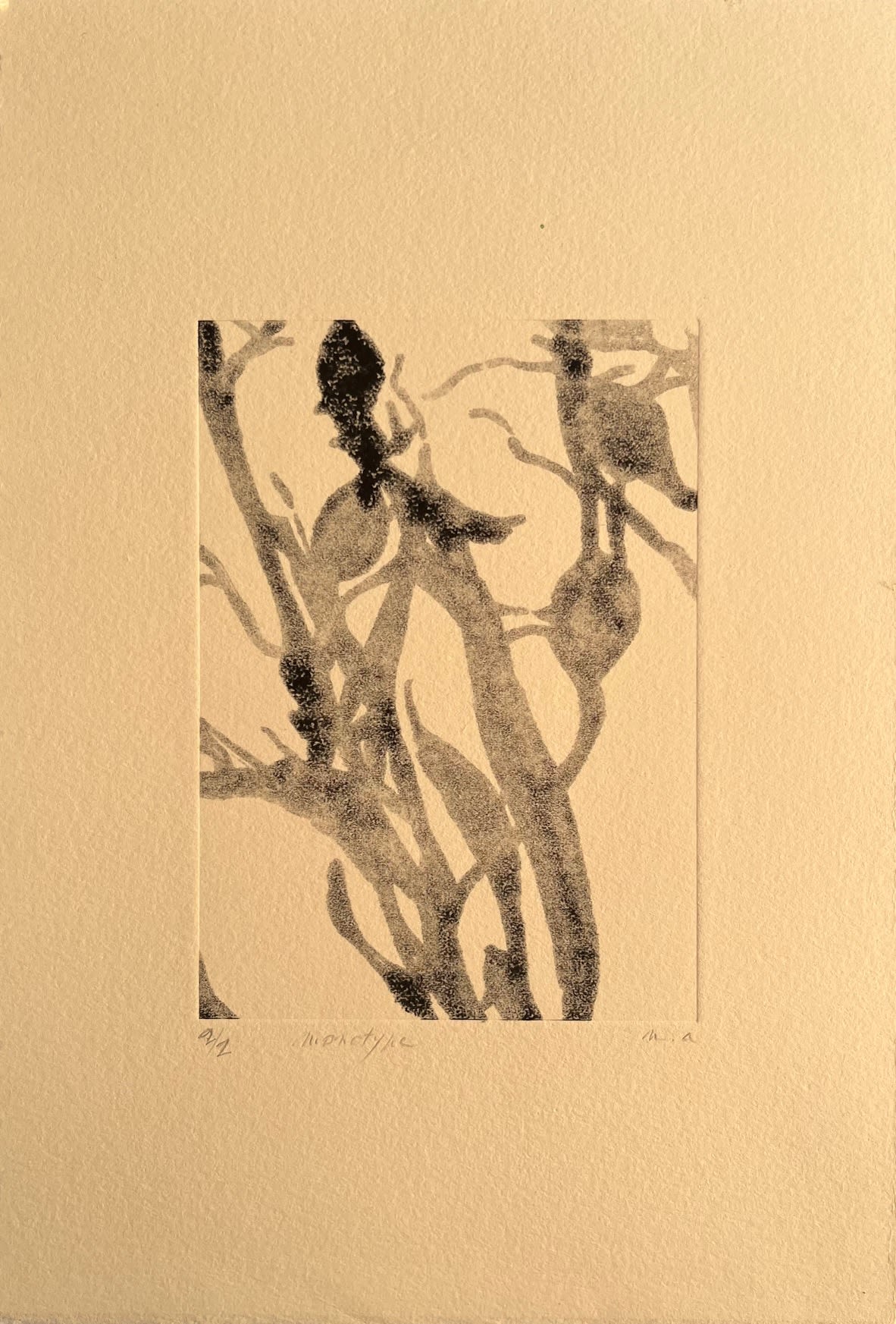 monotype de Noémi Adda