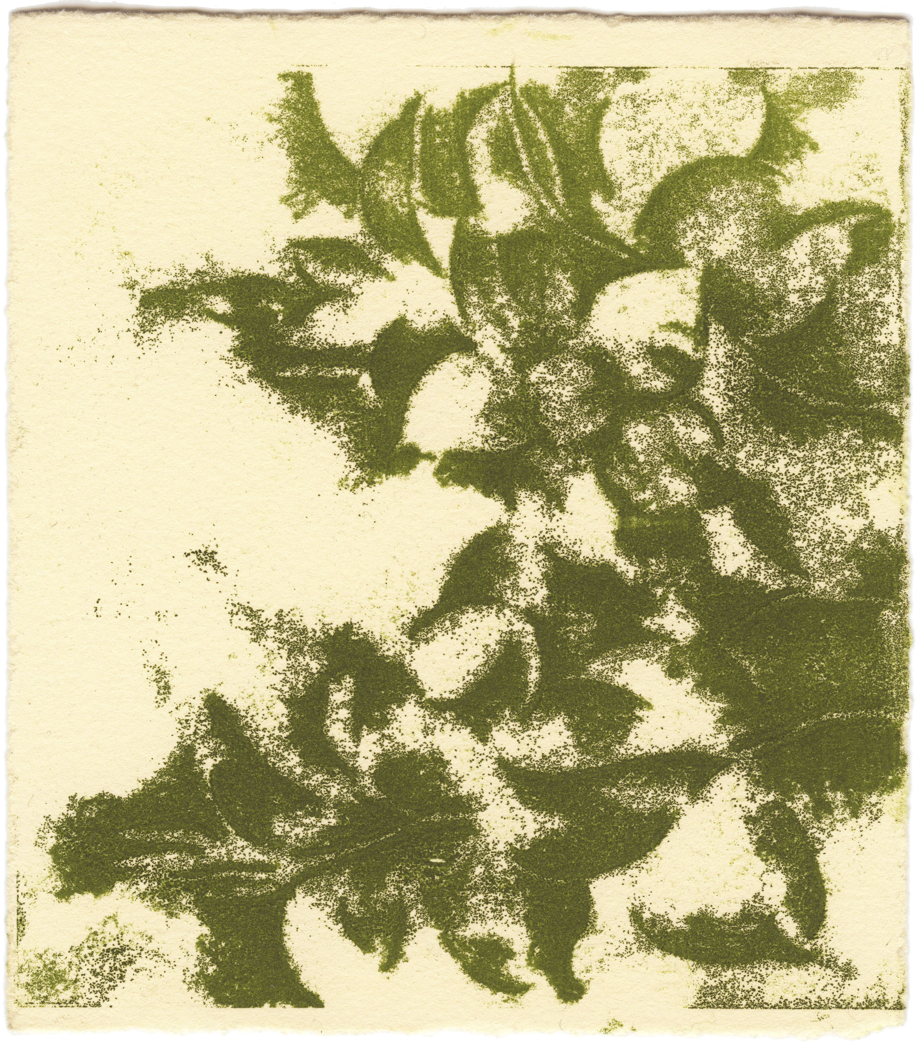 monotype à l'huile sur papier de Noémi Adda