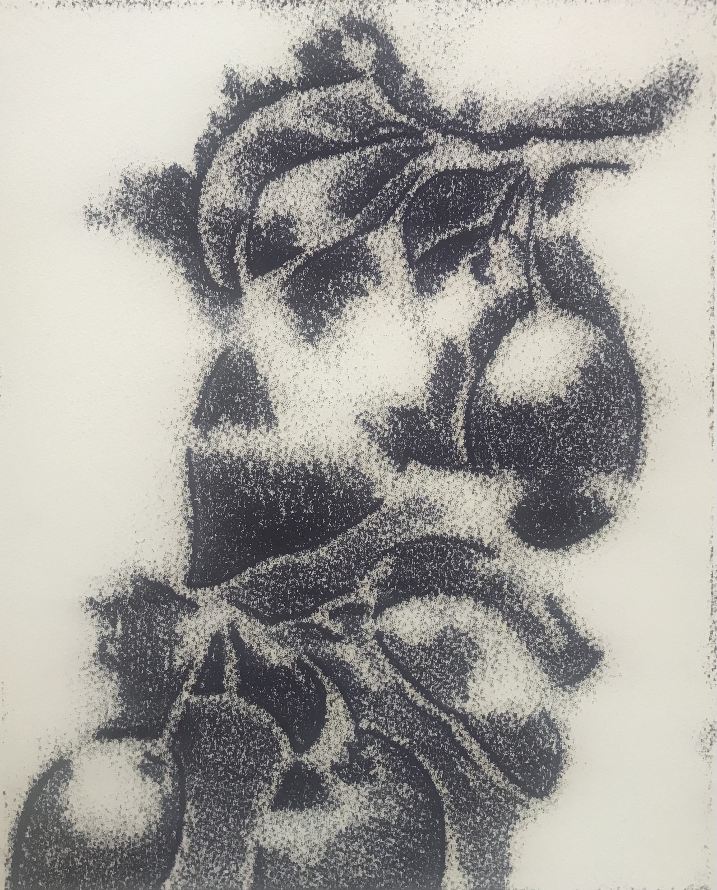 monotype de Noémi Adda