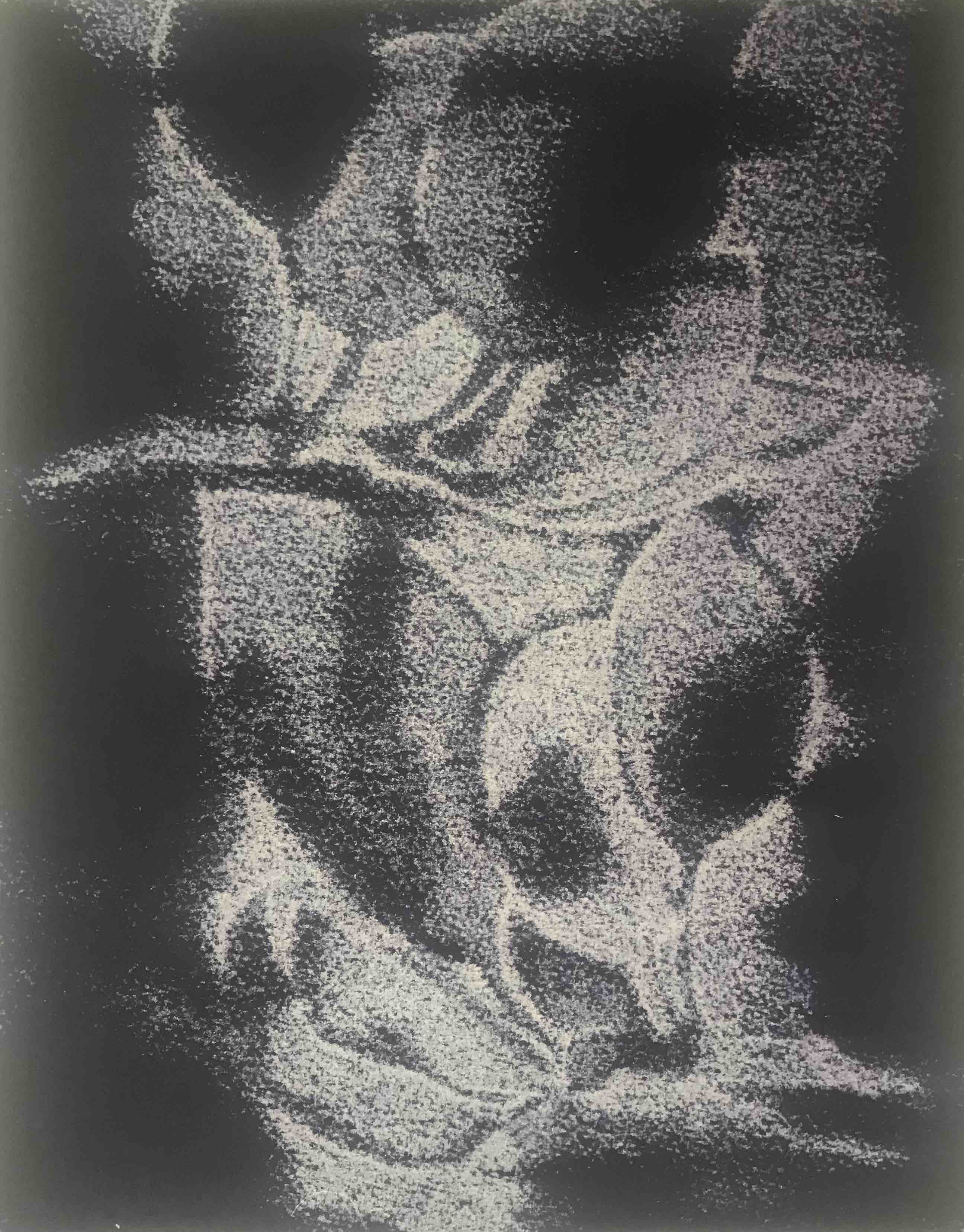 monotype de Noémi Adda