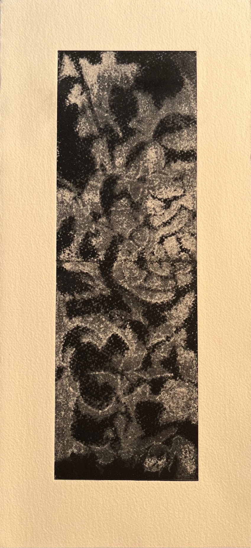 monotype de Noémi Adda