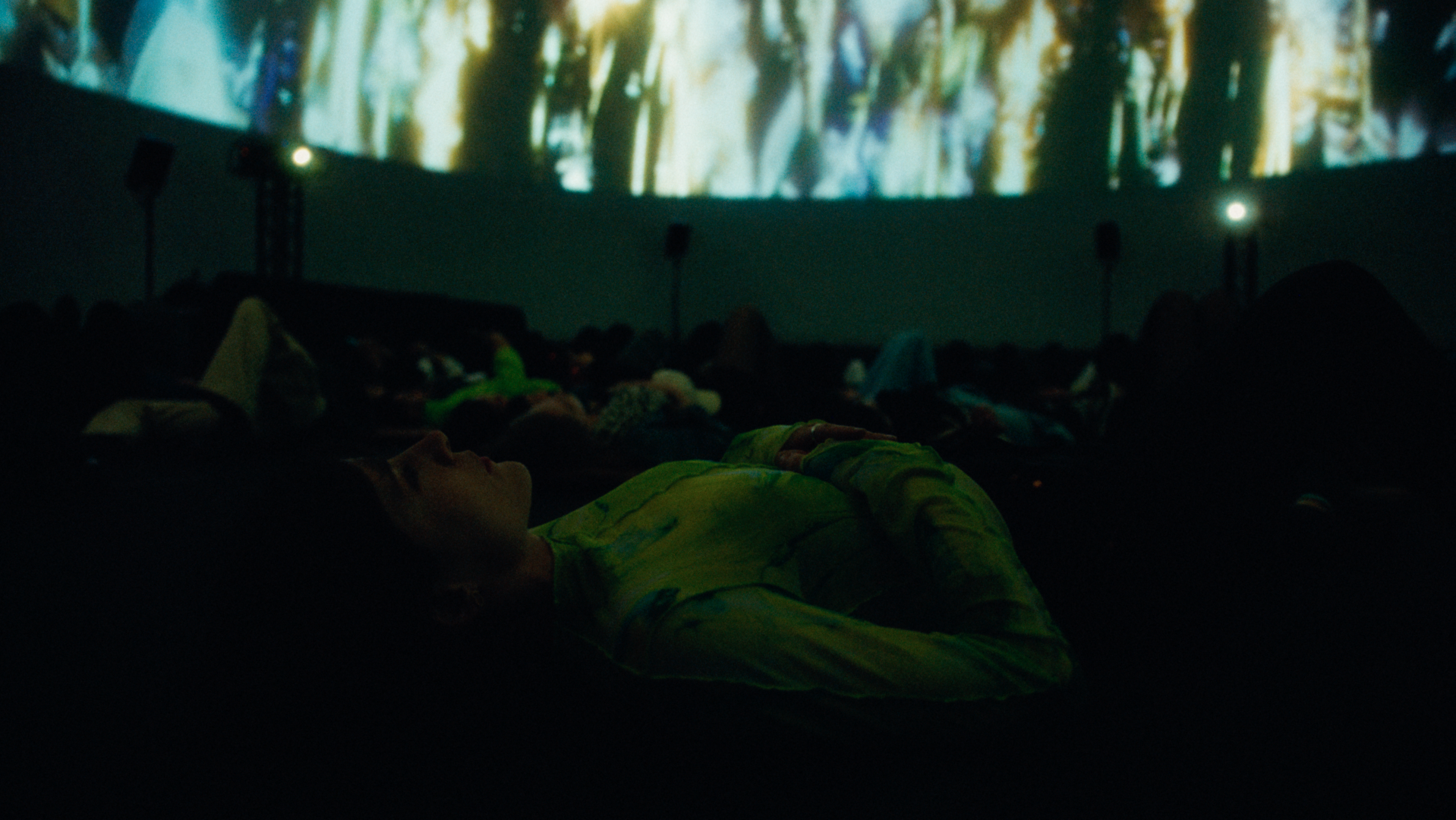 MIRA FESTIVAL image 2