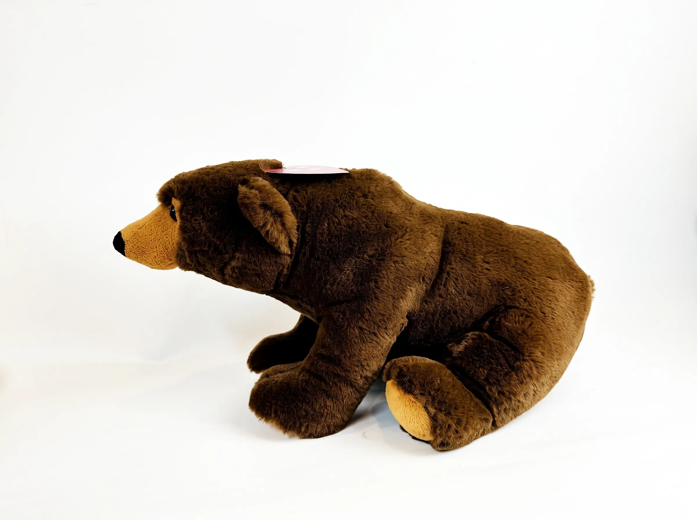 40CM Grizzly Bear Plush