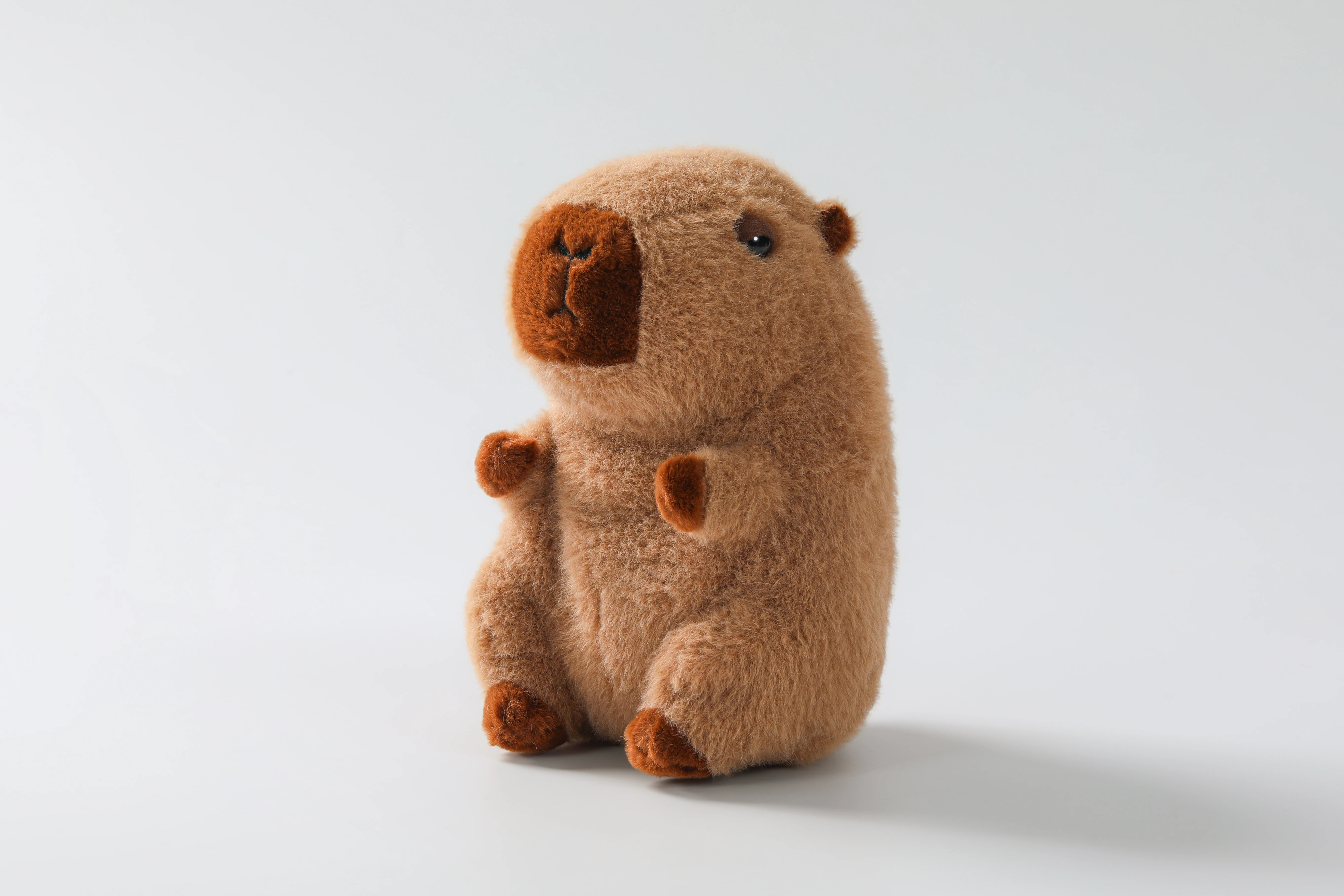18cm Capybara Plush