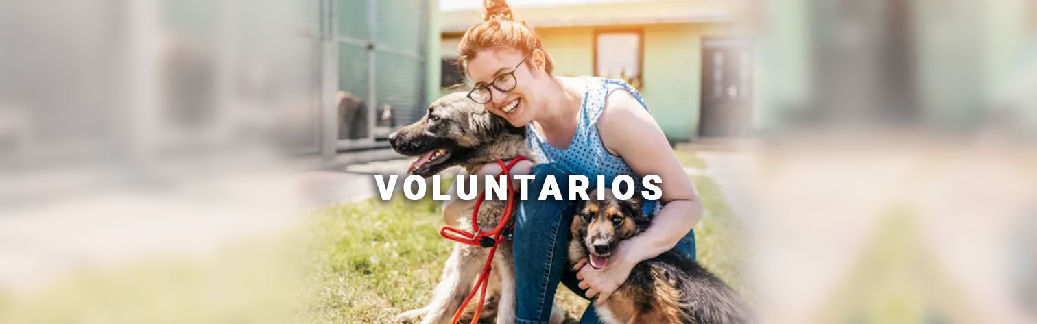 Requisitos para voluntarios