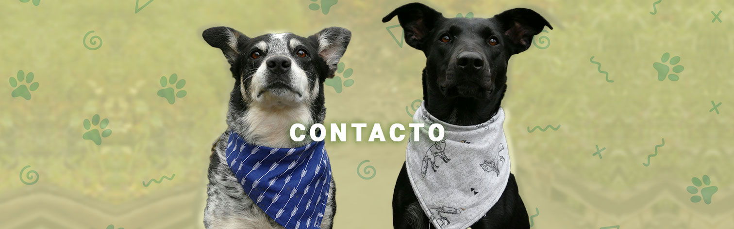 Contacto Adoptadog