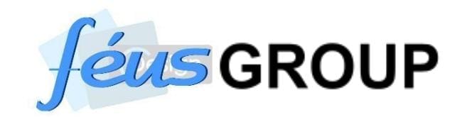 Feus Group Logo