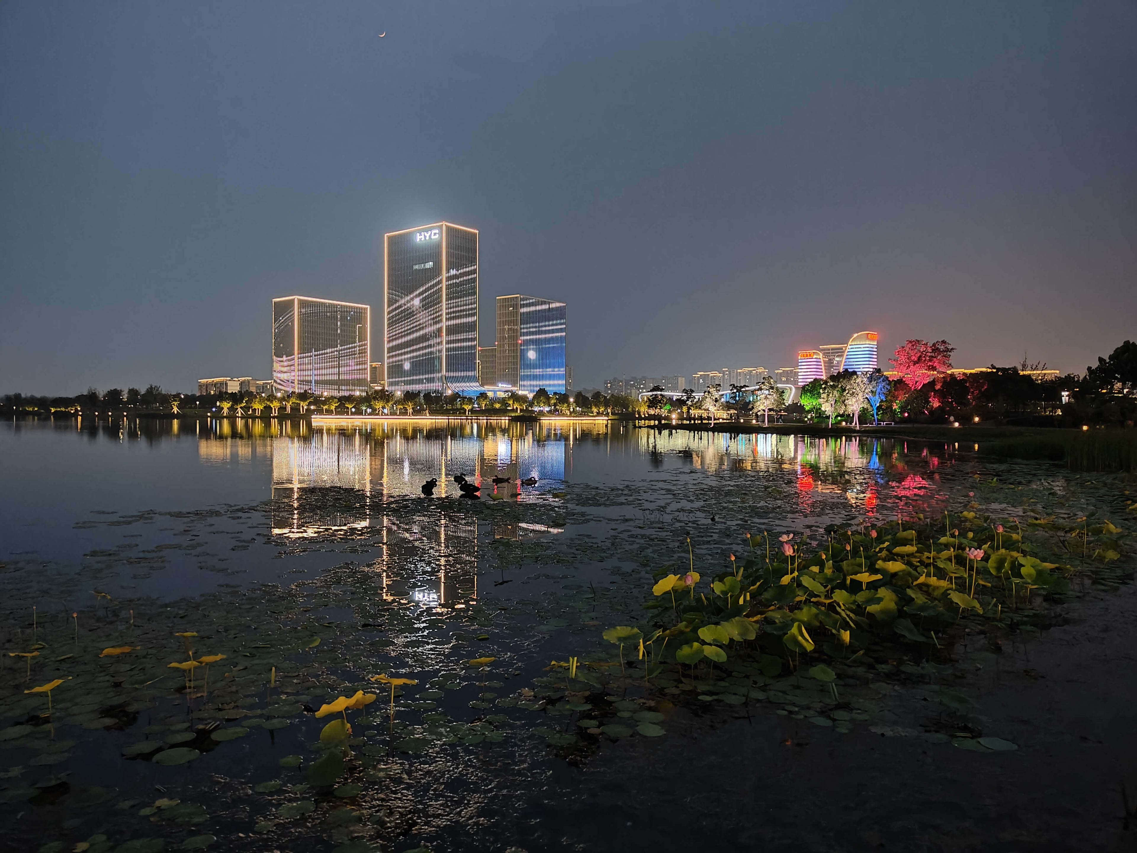 Jiaxing park at night