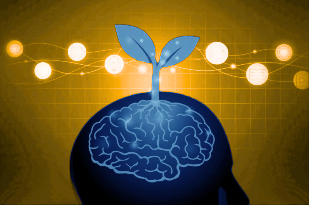 The Mindset Shift: How a Growth Mindset Transforms Wealth