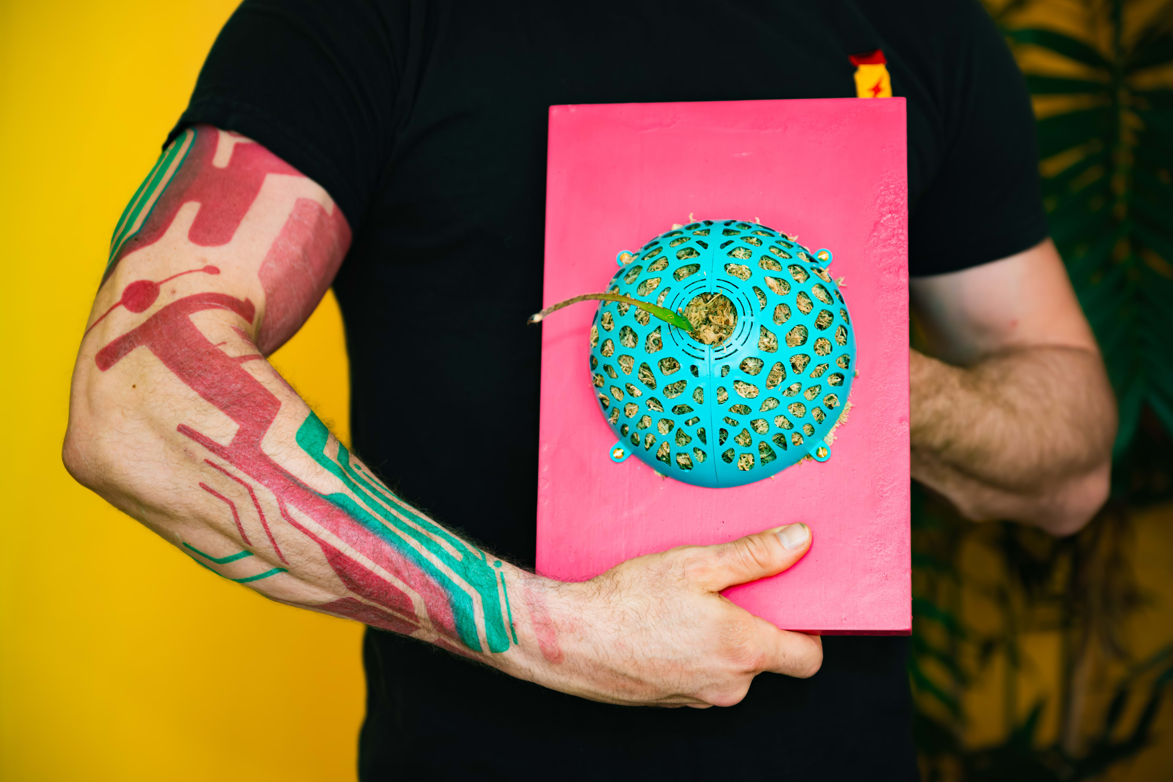 Lepismium cruciforme — Pink / Turquoise Voronoi