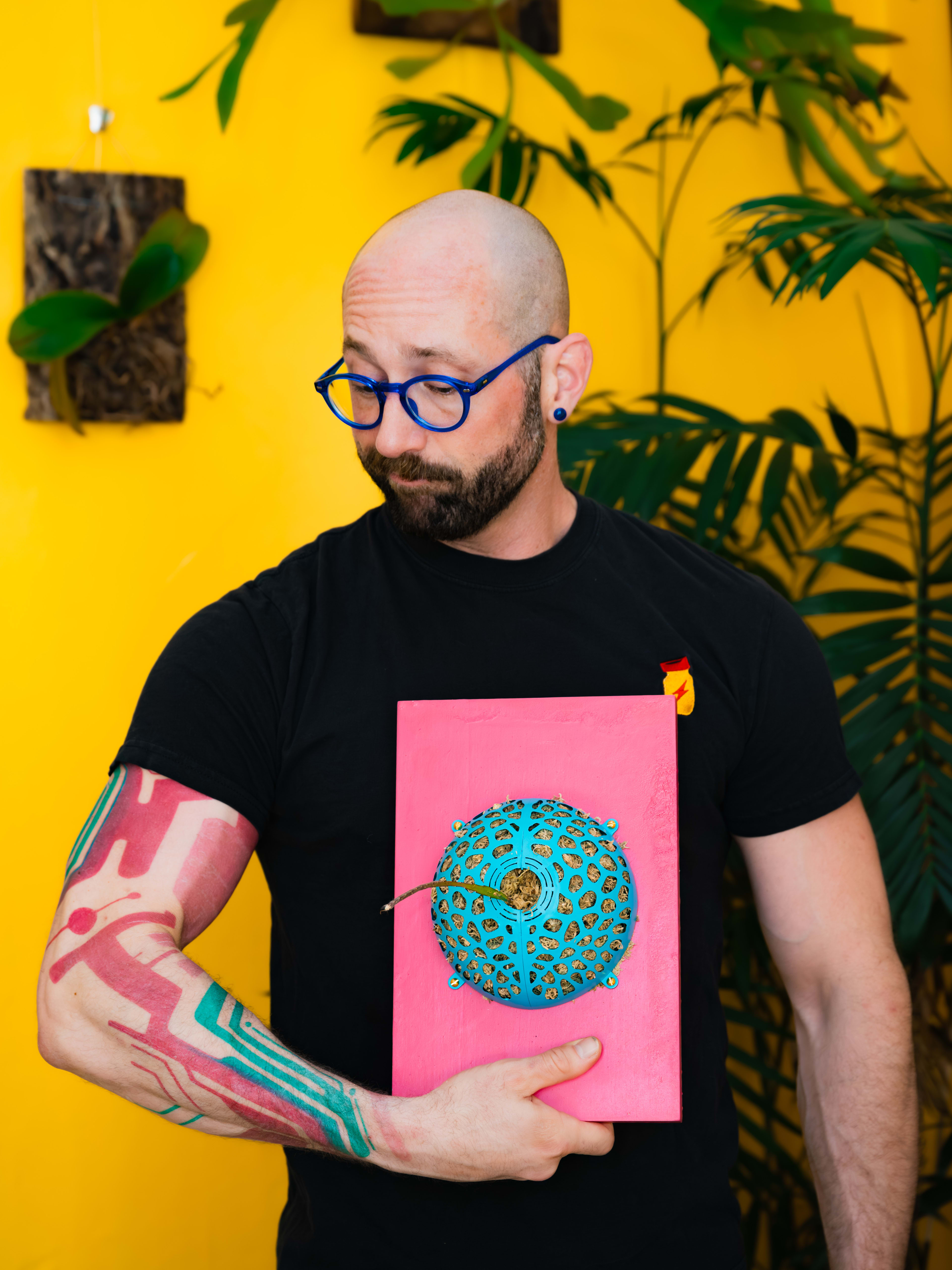 Lepismium cruciforme — Pink / Turquoise Voronoi