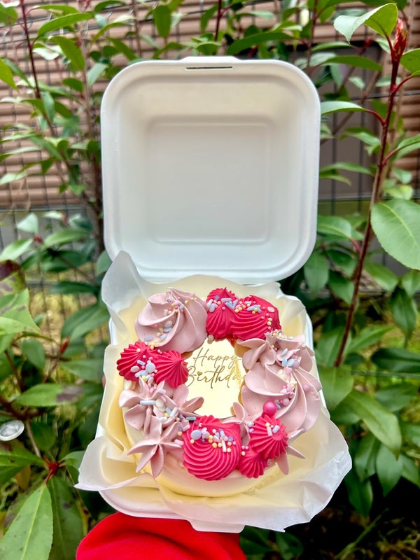 Bento cake