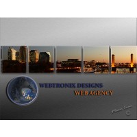 Webtronix Designs Web Agency