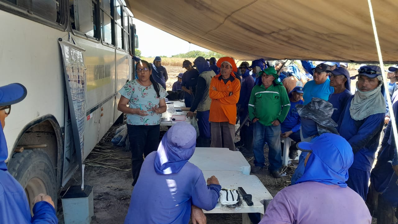 Galeria de imagem 10