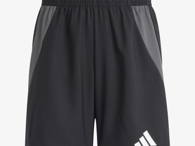 Adidas Sports Shorts (Size M)