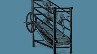 The Dog Engine: When Animals Became Machines