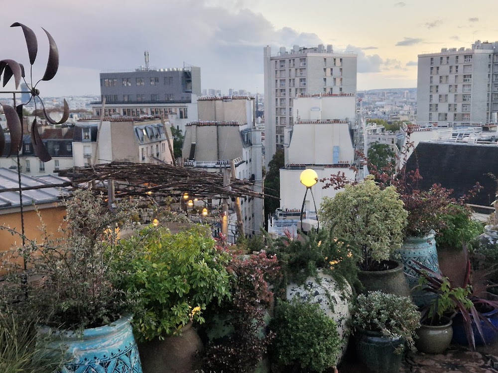 Le Toit de La Bellevilloise, bar à Paris 20e, photo 7