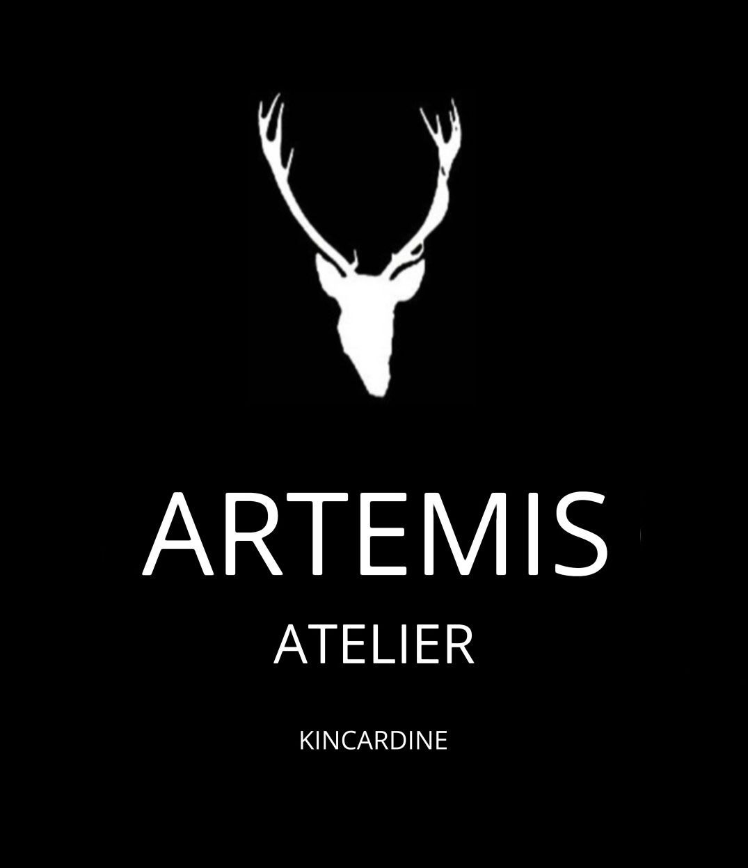 Artemis_logo_21256ac9a7.jpeg