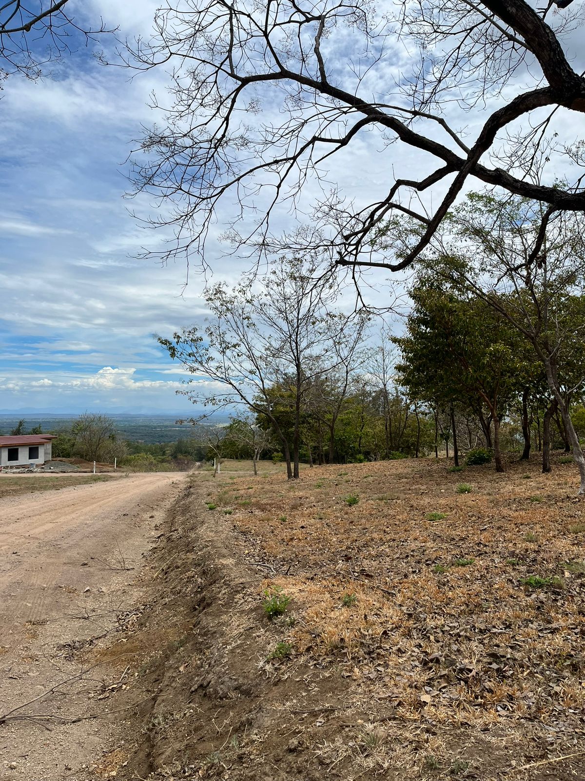 Vista 5 de QUINTAS CAÑAS DULCES