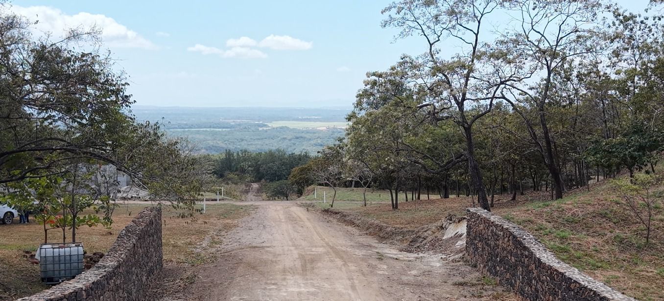 Vista 6 de QUINTAS CAÑAS DULCES