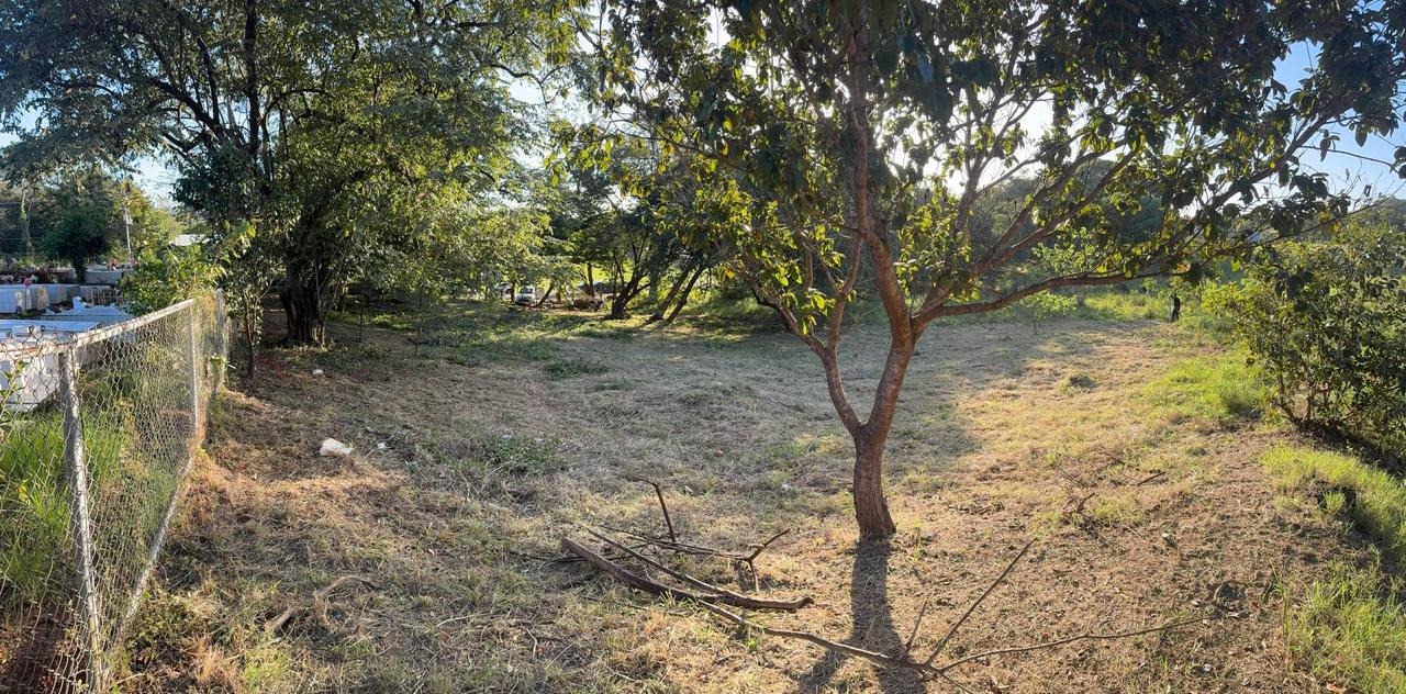 Vista 3 de 🌴 ¡Oportunidad única en Playa Potrero, Guanacaste! 🏖️